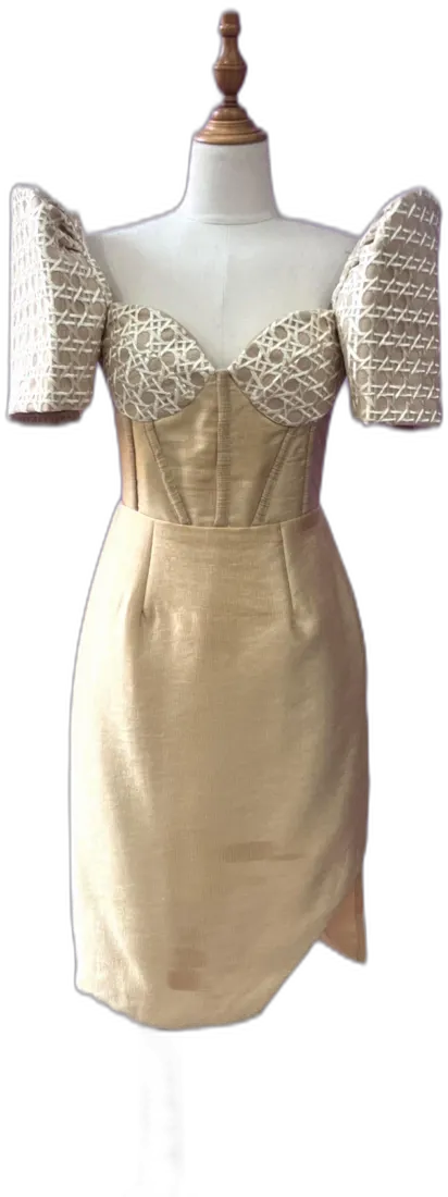 Champagne sheath with beaded sleeves