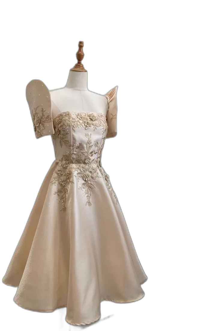 Cream gown with gold embroidery