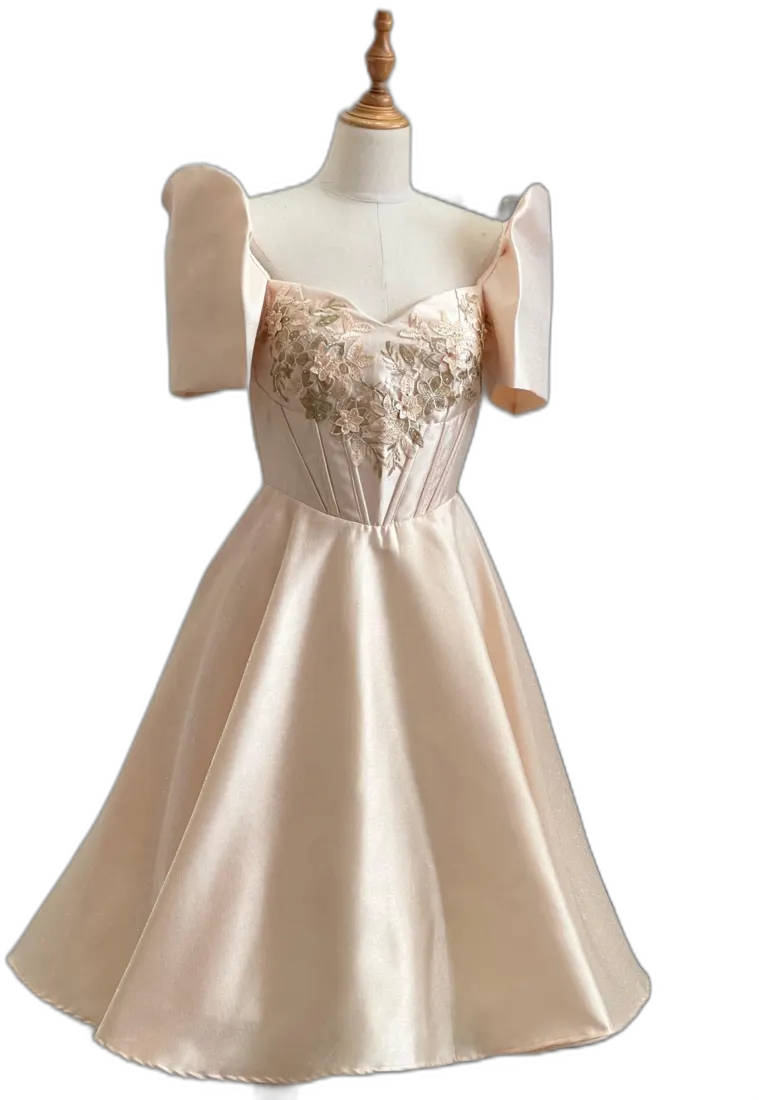 Blush satin ball gown with embroidered bodice