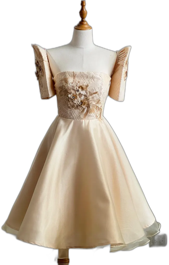 Cream ball gown with floral appliqué bodice